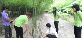 โครงการ การสำรวจข้อมูลสินค้า หนึ่งตำบล หนึ่งผลิตภัณฑ์ (OTOP) เพื่อพัฒนาสู่สากล ภายใต้การเนินงานของคลินิกเทคโนโลยี มหาวิทยาลัยเทคโนโลยีราชมงคลพระนคร ณ พื้นที่จังหวัดอ่างทอง